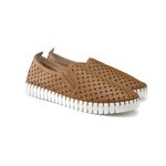 LUA67750500-NEW-RIDGE-AMENDOA-01